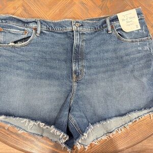 Abercrombie & Fitch Blue Jean Shorts